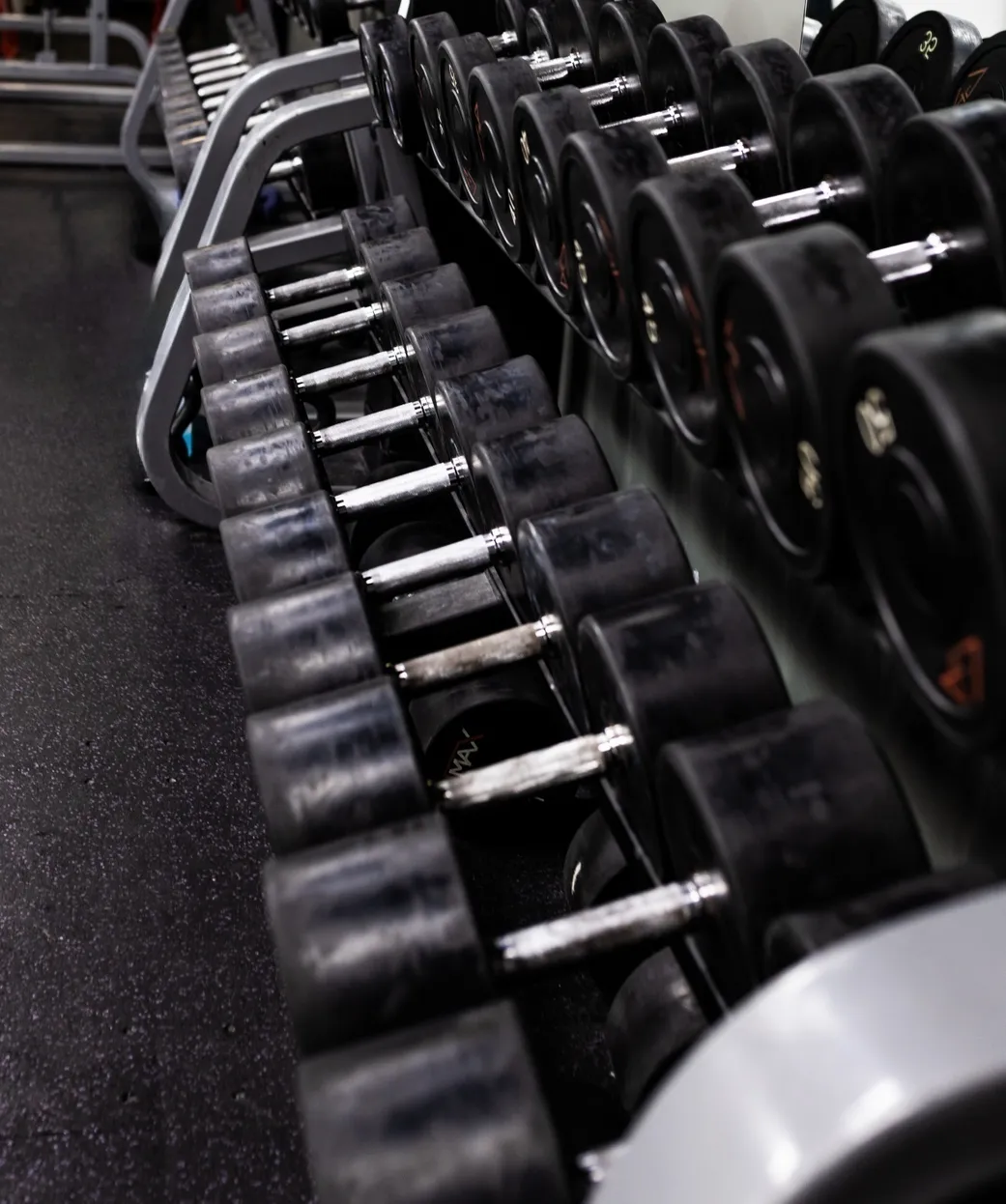 Free Weights
