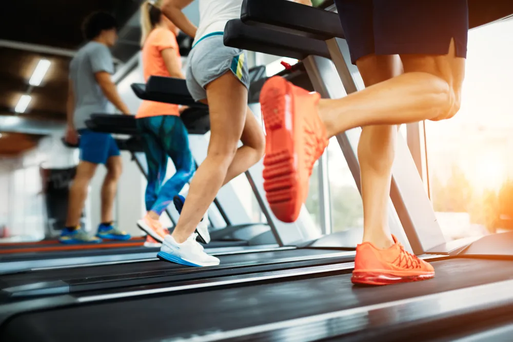 Cardio Equipment